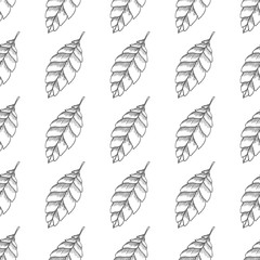leaf vector seamless pattern isolated on white background