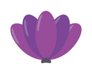 natural flower decoration