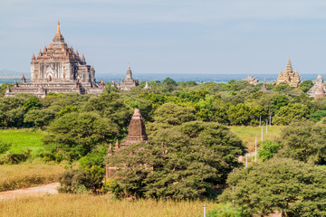 Skyline of Bagan temples, Myanmar. Thatbyinnyu Temple on the left.