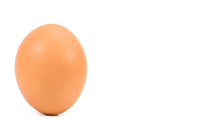 .chicken egg on white background