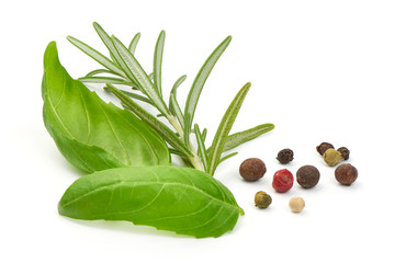 Fresh green basil leaves, rosemary and peppercorns, close up, isolated on a white background