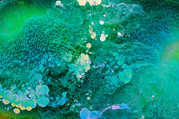 Resin Petri Dish Art