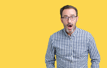 Handsome middle age elegant senior man wearing glasses over isolated background afraid and shocked with surprise expression, fear and excited face.