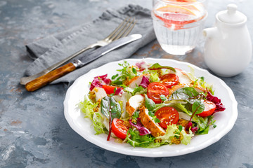 Fresh vegetable salad with grilled chicken meat