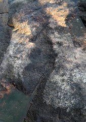 stone texture in water, background