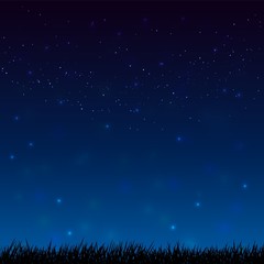 Fototapeta na wymiar Night starry sky and dark grass ground silhoutte background