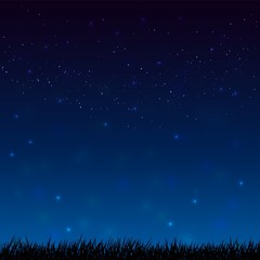 Night starry sky and dark grass ground silhoutte background