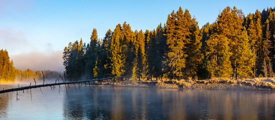 autumn landscape with  trees reflecting in river