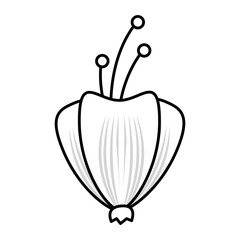 natural flower decoration