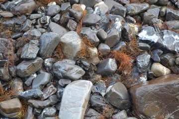 photo Sea stones