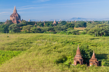 Skyline of temples in Bagan, Myanmar. Bulethi temple in the left.