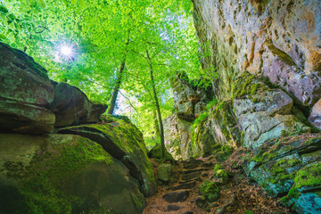 Teufelsschlucht, Eifel