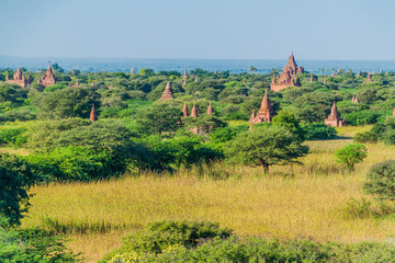 Fototapeta na wymiar Skyline of temples in Bagan, Myanmar