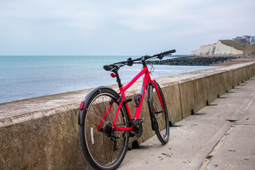 Obraz premium Bicycle leaning against a wall with ocean background
