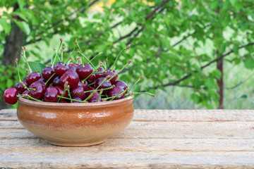 A ceramic bowl of ripe cherries stands on a plank table against the backdrop of an orchard. Copy space.