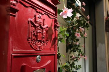 old red 