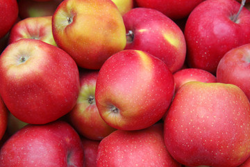 Fototapeta na wymiar Red apples. Harvest apples.