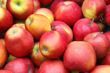 Fototapeta na wymiar fresh apples on market