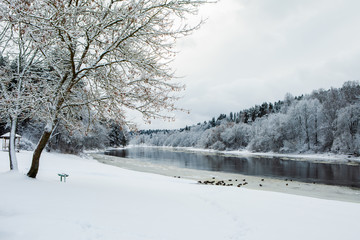 Fototapeta premium Neris river in winter