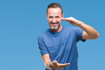 Middle age hoary senior man over isolated background gesturing with hands showing big and large size sign, measure symbol. Smiling looking at the camera. Measuring concept.