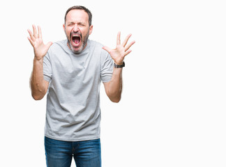 Middle age senior hoary man over isolated background crazy and mad shouting and yelling with aggressive expression and arms raised. Frustration concept.