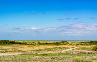 View of the dunes overgrown with coastal vegetation in the background of the sea, sailing boats and blue sky.North sea in France.