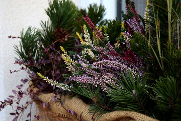 Winterharte Balkonpflanzen im Herbst und Winter