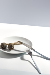 White plate, cutlery and dry poppy on a plate on a bright table. Cretive minimalistic concept.