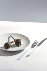 White plate, cutlery and dry poppy on a plate on a bright table. Cretive minimalistic concept.
