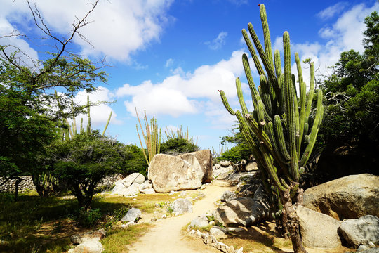 Arikok National Park - Aruba