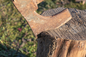 embedded axe in cut log