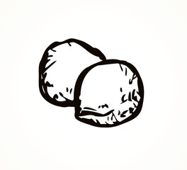 Cherry stones. Vector drawing