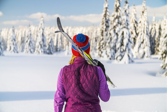 Back view of female skier in a snowy trees.