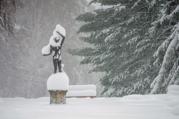 Blizzard in the park