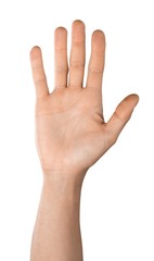 Raised Hand / Five Fingers
