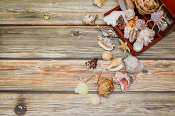 Close up Ancient casket for jewelry with collection of different seashells on wooden table.