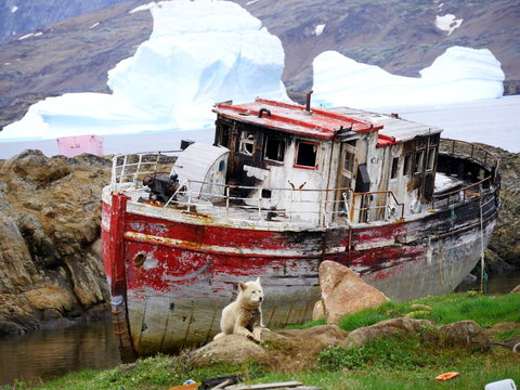 Bootswrack mit Schlittenhund Gr&ouml;nland