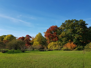 autumn in the park