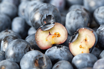 Blueberry berry