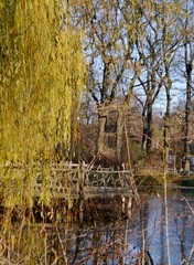 Herbstliche Bäume im Volkspark Friedrichshain