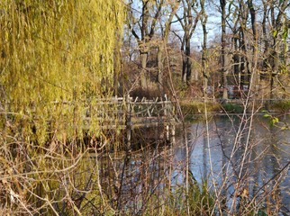 Weide im Volkspark Friedrichshain
