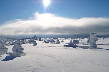 Fototapeta na wymiar Karkonosze w zimie