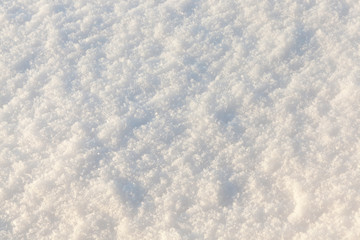 land covered with snow