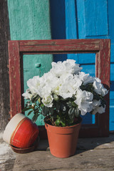 Fototapeta na wymiar Spring.White flowers in a jug and cups on the background of blue wooden doors.Composition of photo from plant, frame from window, brown cup and the shadow of the warm spring sun.Azalea