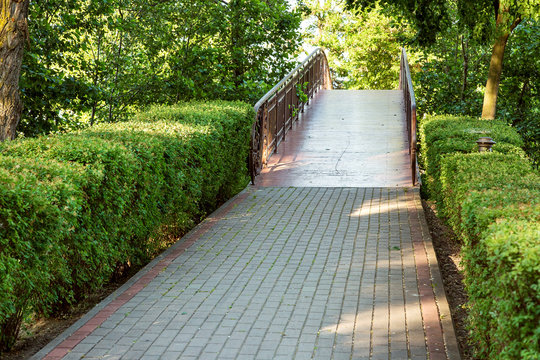 pavement walkway leading to an iron bridge with railings in a park area with hedges of green bushes and trees.