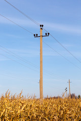 Electric post corn