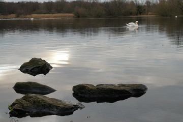 duddingston loch
