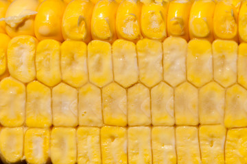 cut corncobs corn slice grain
