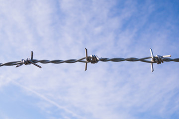 Barbed wire with sky