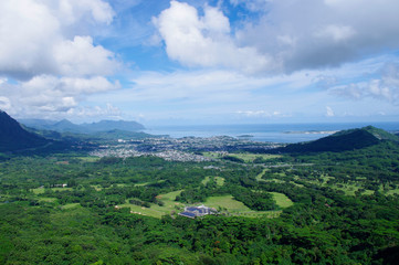 Fototapeta na wymiar ハワイ,オアフ島,ヌアヌ・パリ